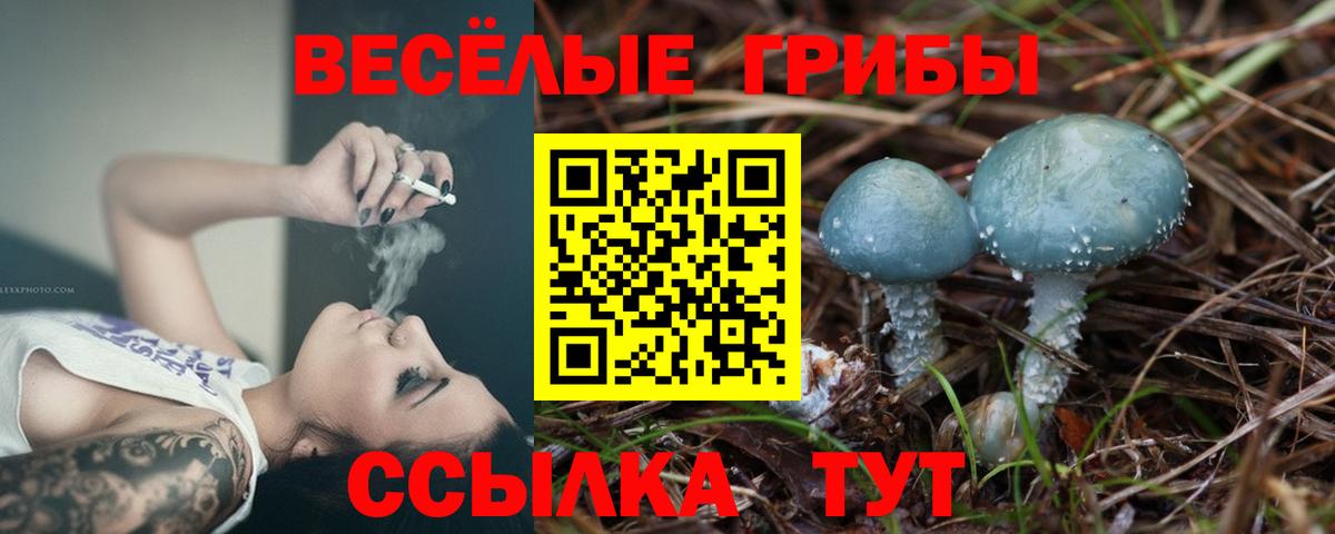 Галлюциногенные грибы GOLDEN TEACHER  Вход с VPN  Ярцево 