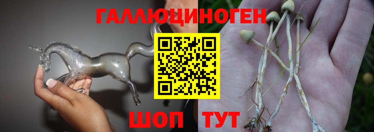 Галлюциногенные грибы Psilocybe Ярцево