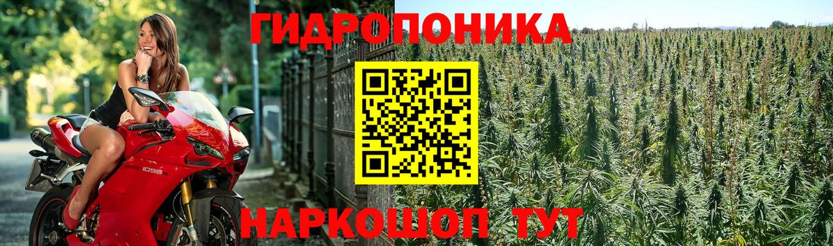 Ярцево  Марихуана гибрид  Бошки марихуана SATIVA & INDICA  Конопля Bruce Banner  Вход с VPN  Бошки марихуана марихуана 